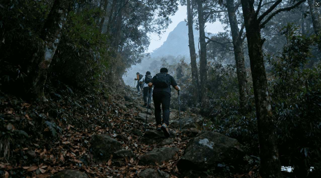 雷霆vp N加速器安卓安装与优化全流程介绍